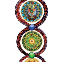 Despertar da Kundalini