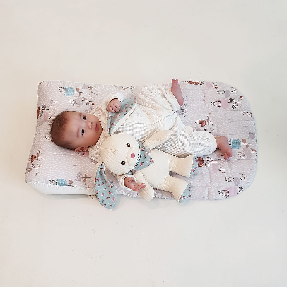 Thumbnail: Stuffed Animals