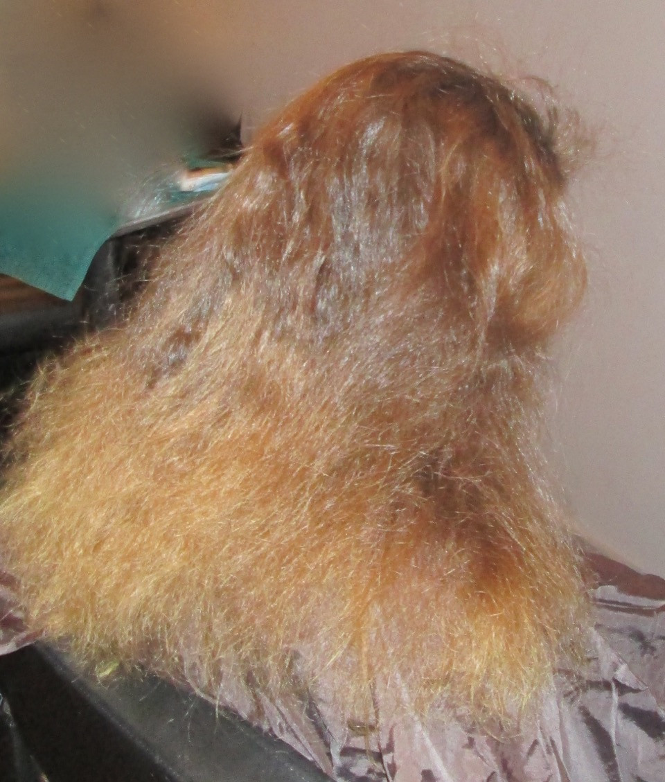 Frizzy hair before