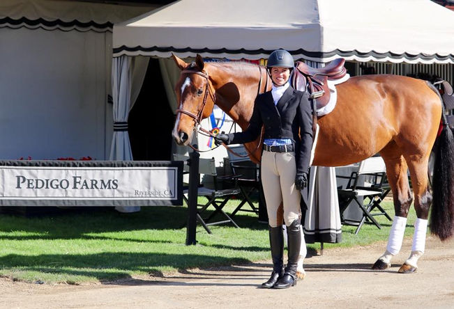 Ryan Pedigo Farm Show Horses