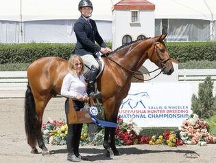 SUCCESS AGAIN FOR WYLAR PF & SONG BIRD PF