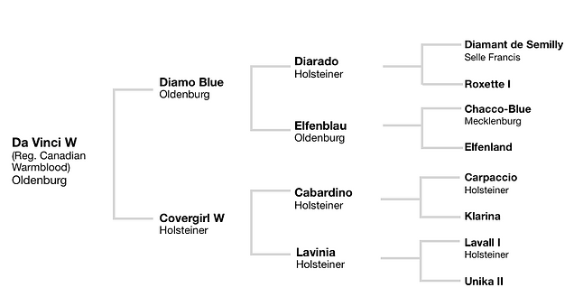 Stallion Pedigree DaVinci