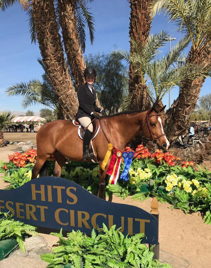Champion horse and client Ryan Pedigo Sport Horses
