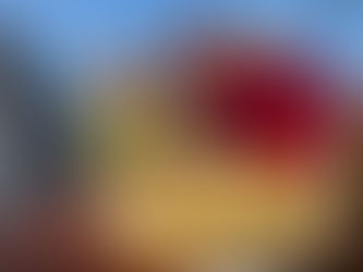 ¿Dónde comer la mejor tortilla de patatas en Tarifa? 🥔🌊