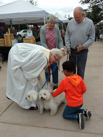 Anne and Dogs.jpeg
