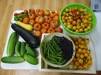 Harvest.jpeg