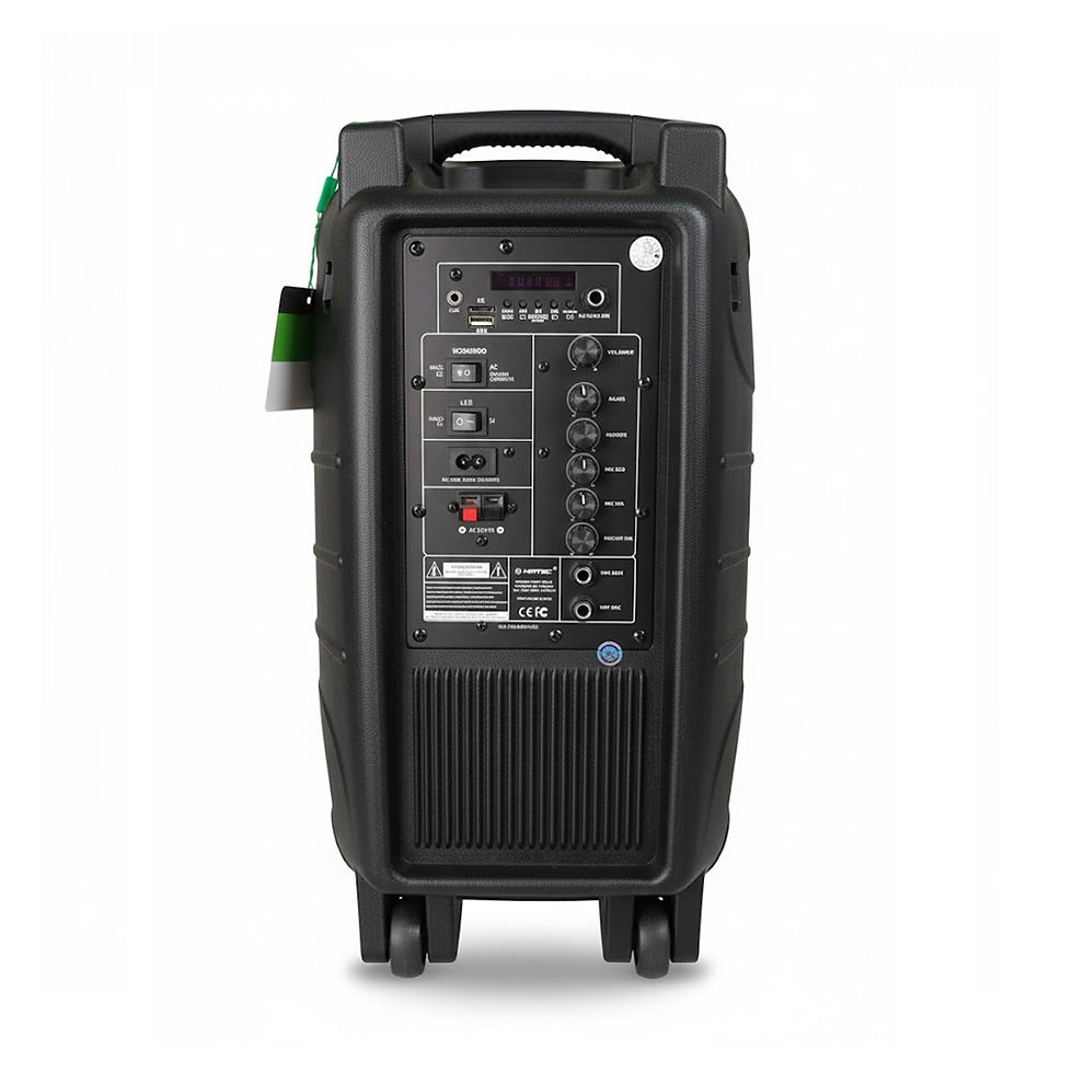 Miniatura: Bocina Amplificada Niatec Nt Pb7212 Pulgadas Bluetooth Usb Fm Sonido Profesional