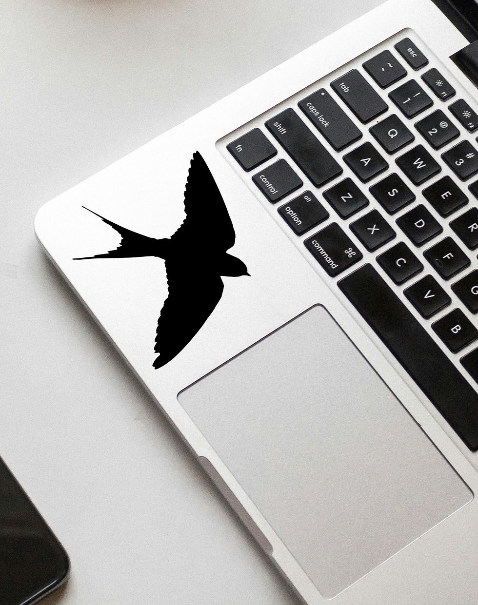 Thumbnail: Swallows Vinyl Sticker