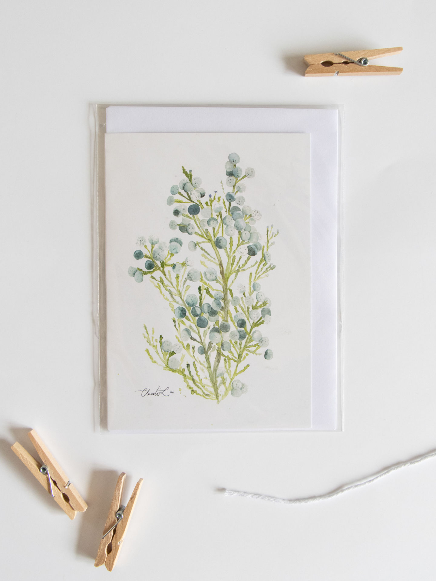 Brunia Fynbos Card