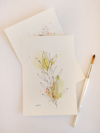Pen & Watercolour Leucadendron 'Inca Gold' Painting
