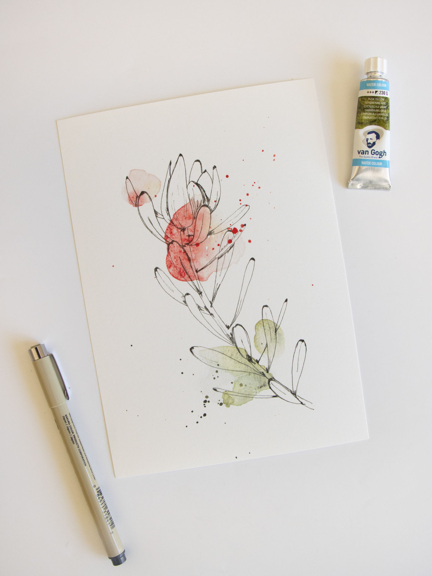 Conebush - Art Print