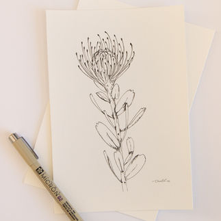 Pincushion Pen Illustration