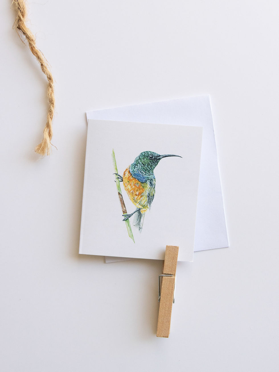 Thumbnail: Tiny Fynbos Fauna & Flora Cards - Set of Three