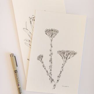 Bristle Bush Pen Illustration 