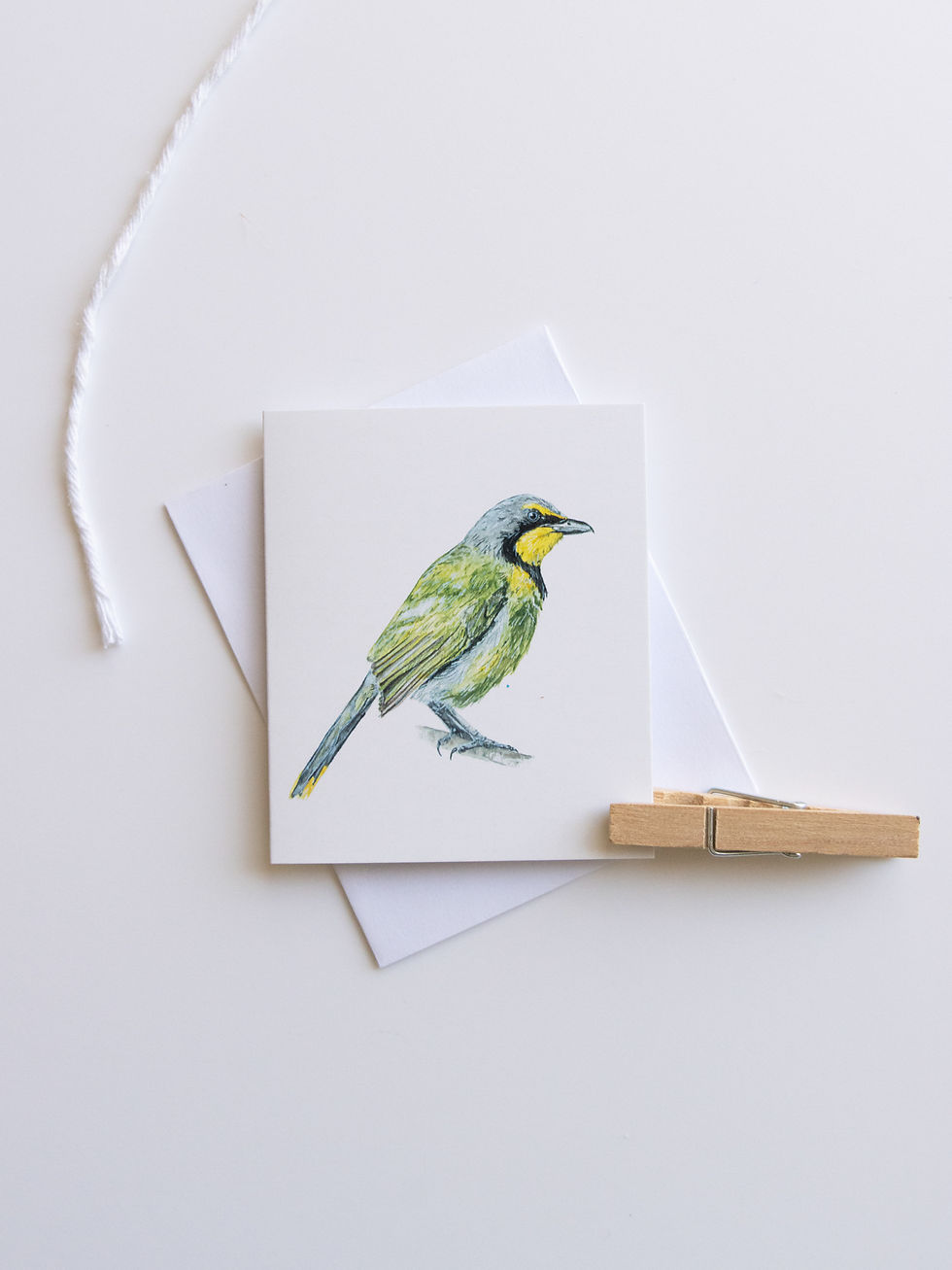 Thumbnail: Tiny Bright Bird Cards - Set of Three