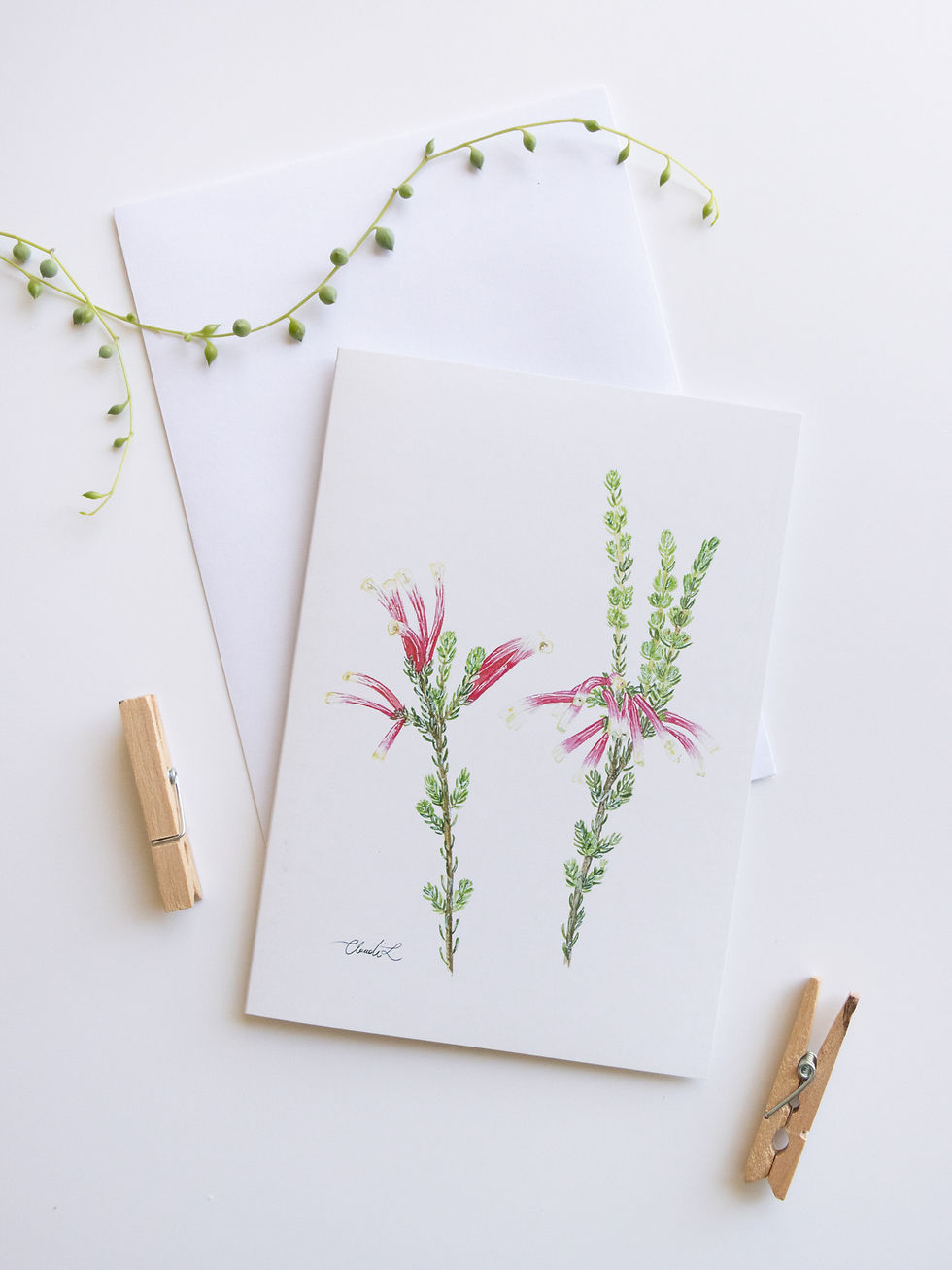 Erica Discolor Sunbird Card