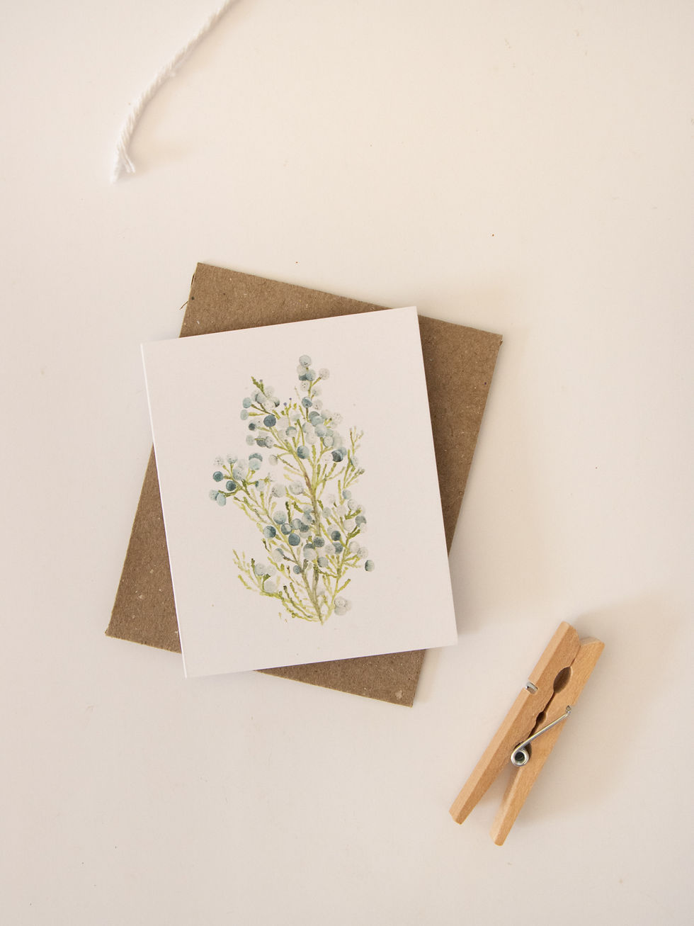 Thumbnail: Tiny Fynbos Cards - Set of Three