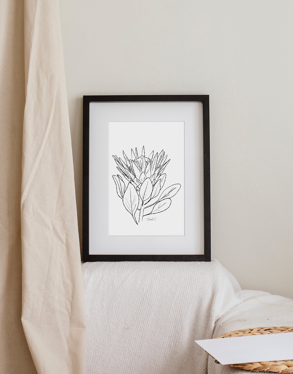 Thumbnail: Line Art Protea - Digital Print