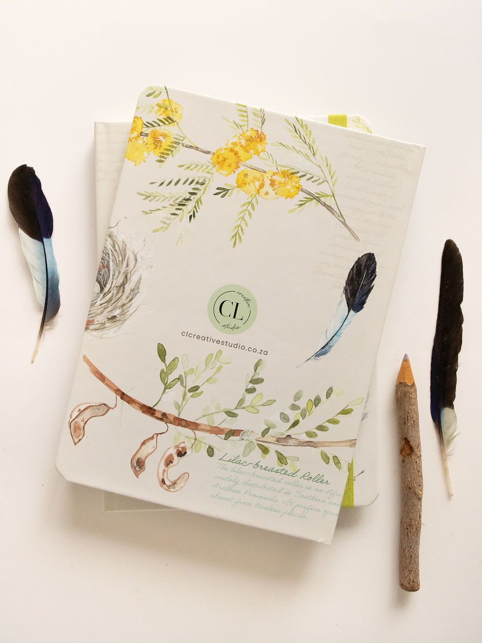 Thumbnail: Lilac-breasted Roller - A5 Journal