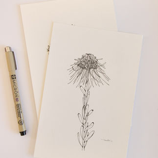 Rocket Pincushion Pen Illustration 