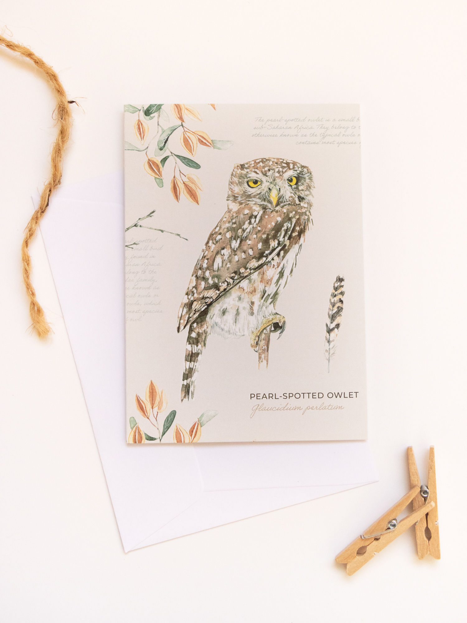Pearl-Spotted Owlet Card