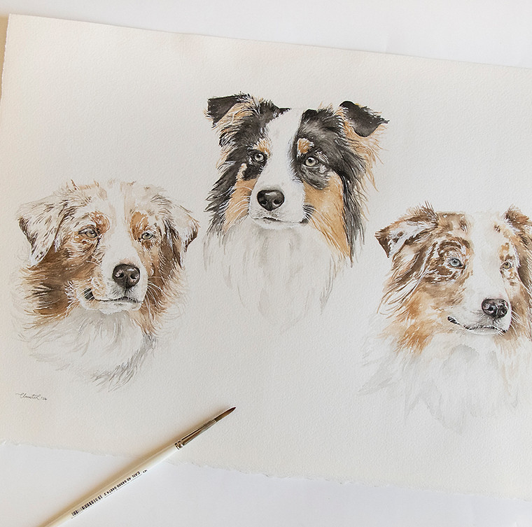 Watercolour Pet Portraits by Claudi Lourens.