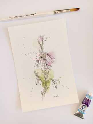 Pen & Watercolour Erica Painting
