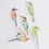 Thumbnail: Bee-eater Vinyl Sticker Pack