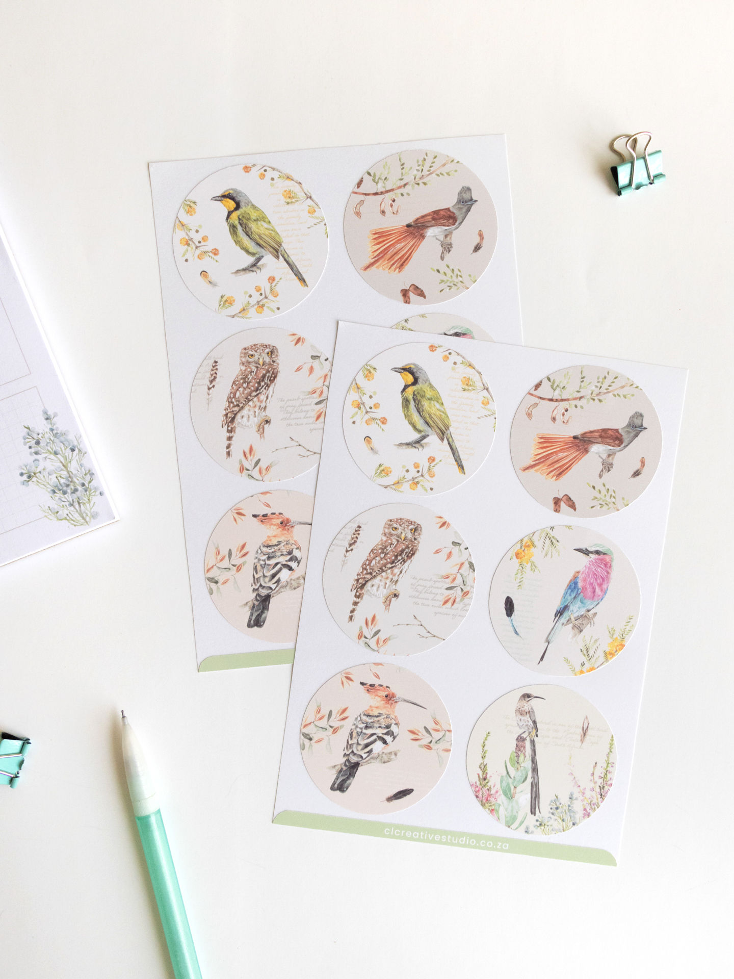 Round Bird Stickers
