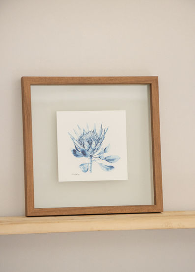 Indigo King Protea