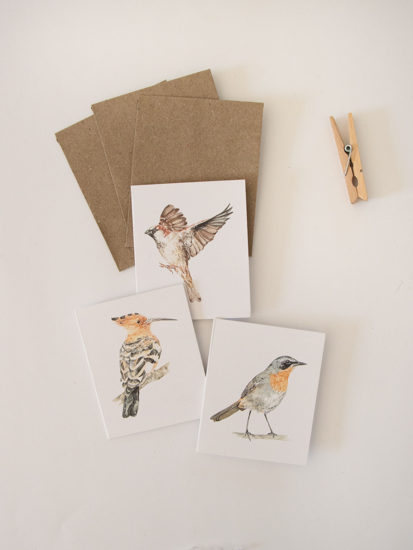 Tiny Bird Cards - Set of Three