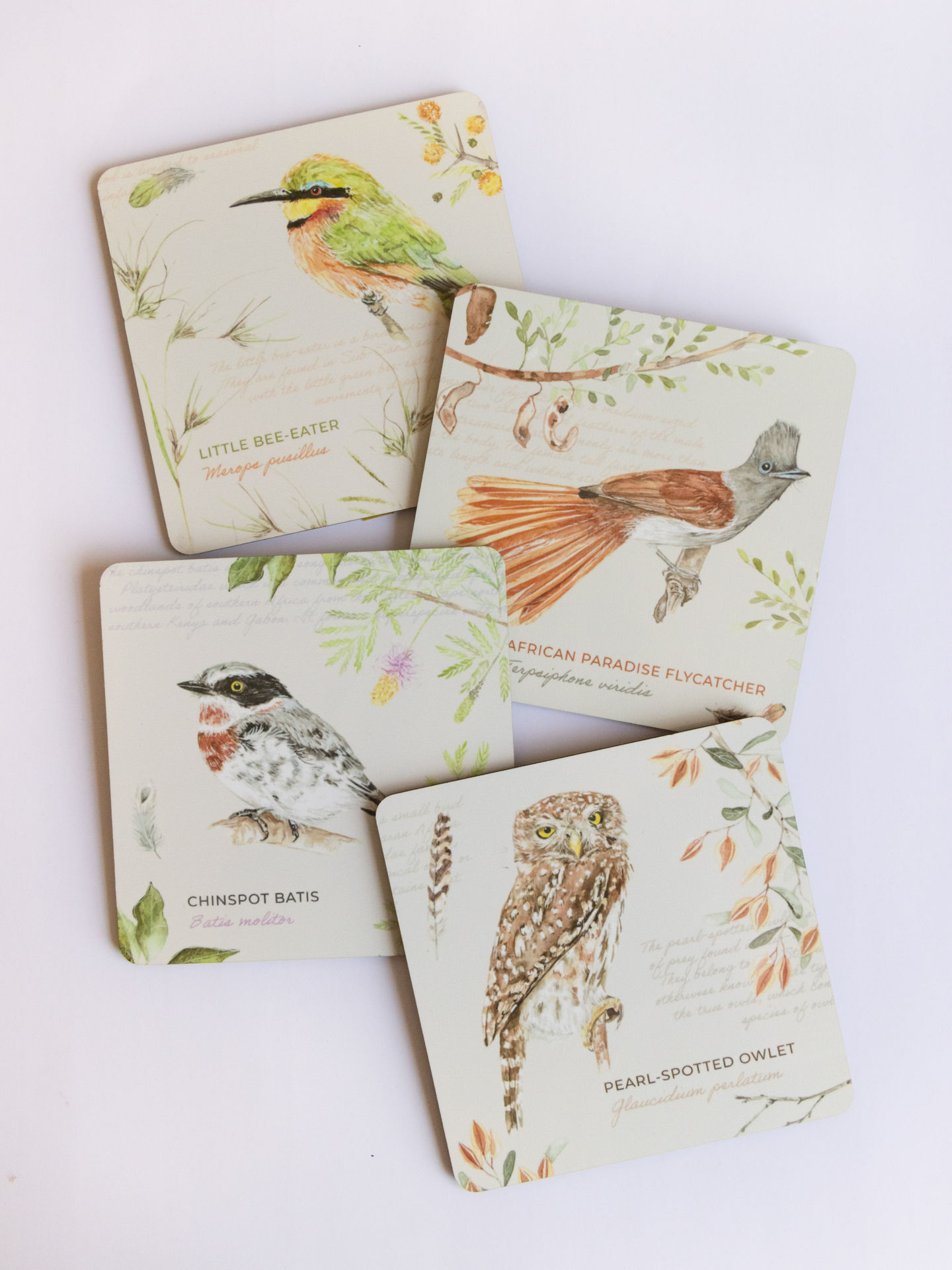 Set of 4 Coasters - Bushveld birds