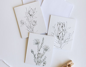 Fybos Greeting Cards by Claudi Lourens