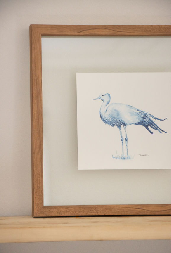 Indigo Bluecrane