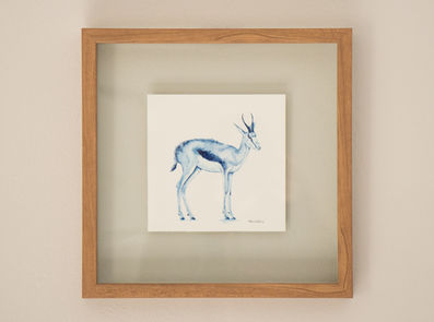 Indigo Springbok
