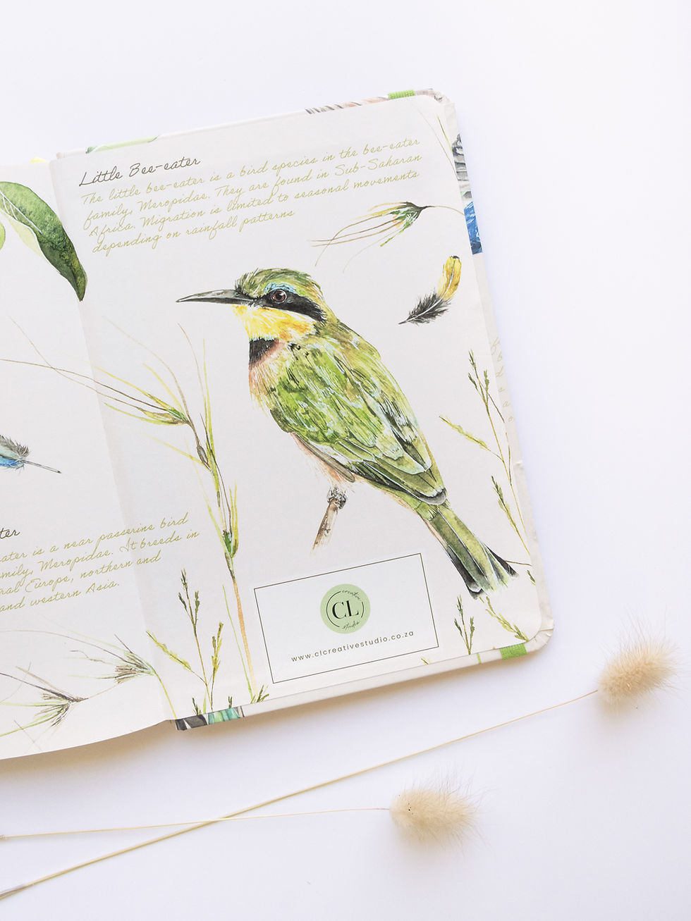 Thumbnail: Bee-eater - A5 Journal