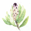 Thumbnail: Neriifolia – Cream Protea - Limited Edition Art Print