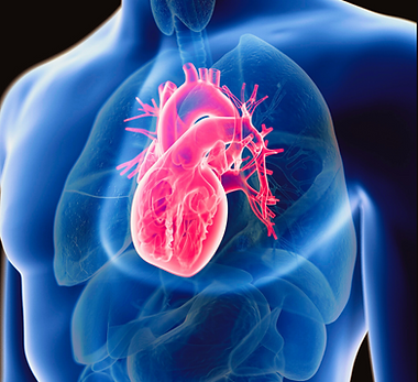 dr punzi doctor de corazon.png