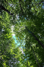 IMG_1238.jpeg
