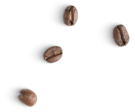 LENO Fairtrade Coffee  פולי קפה סחר הוגן אורגני
