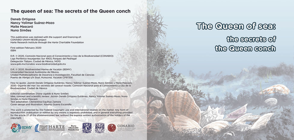The secrets of Queen conch_Page_02