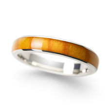 松  - マツの指輪 1月誕生木