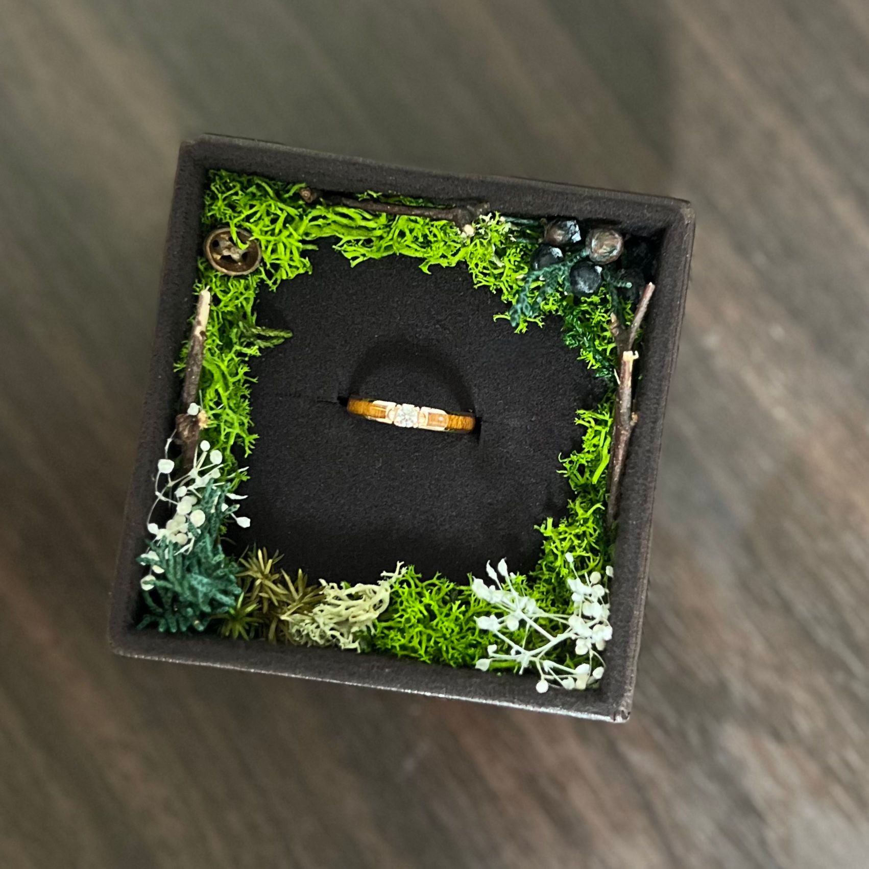 Forest フレッシュグリーン