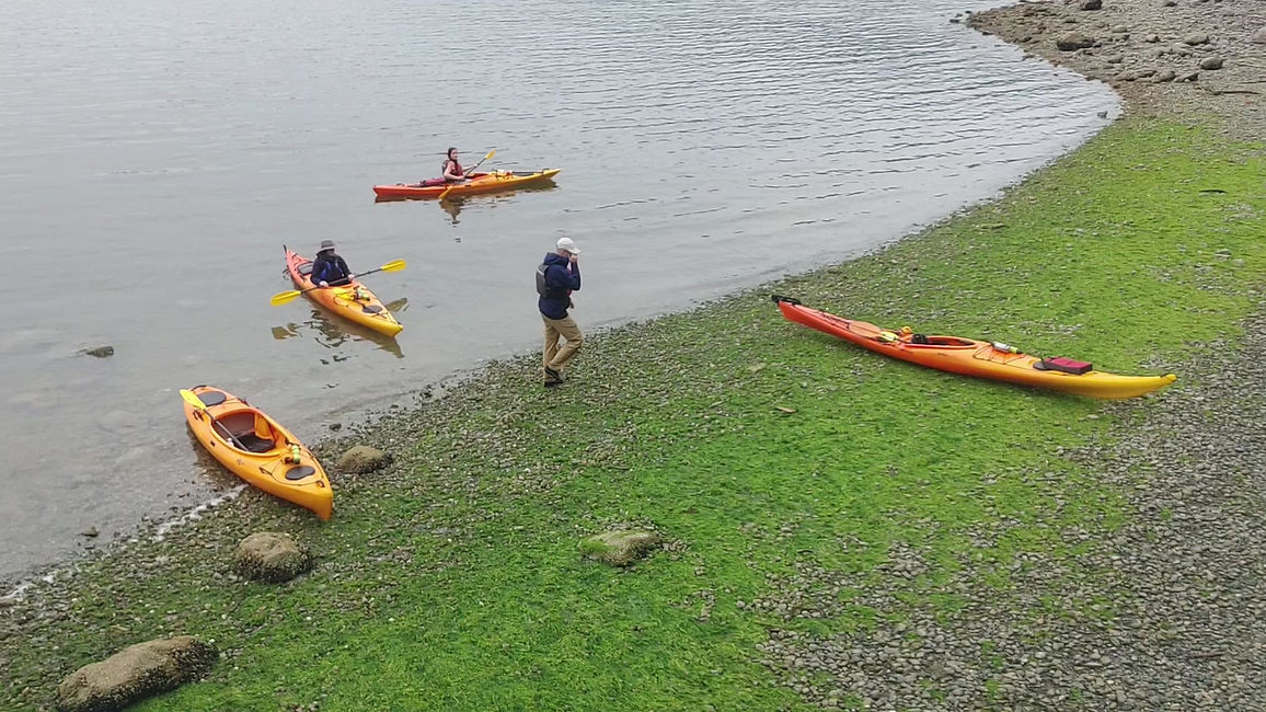 Sunshine Coast Kayaking Gibsons, BC