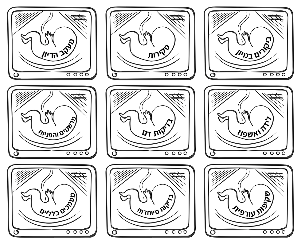 תמונה ממוזערת: ערכת ההריון שלי