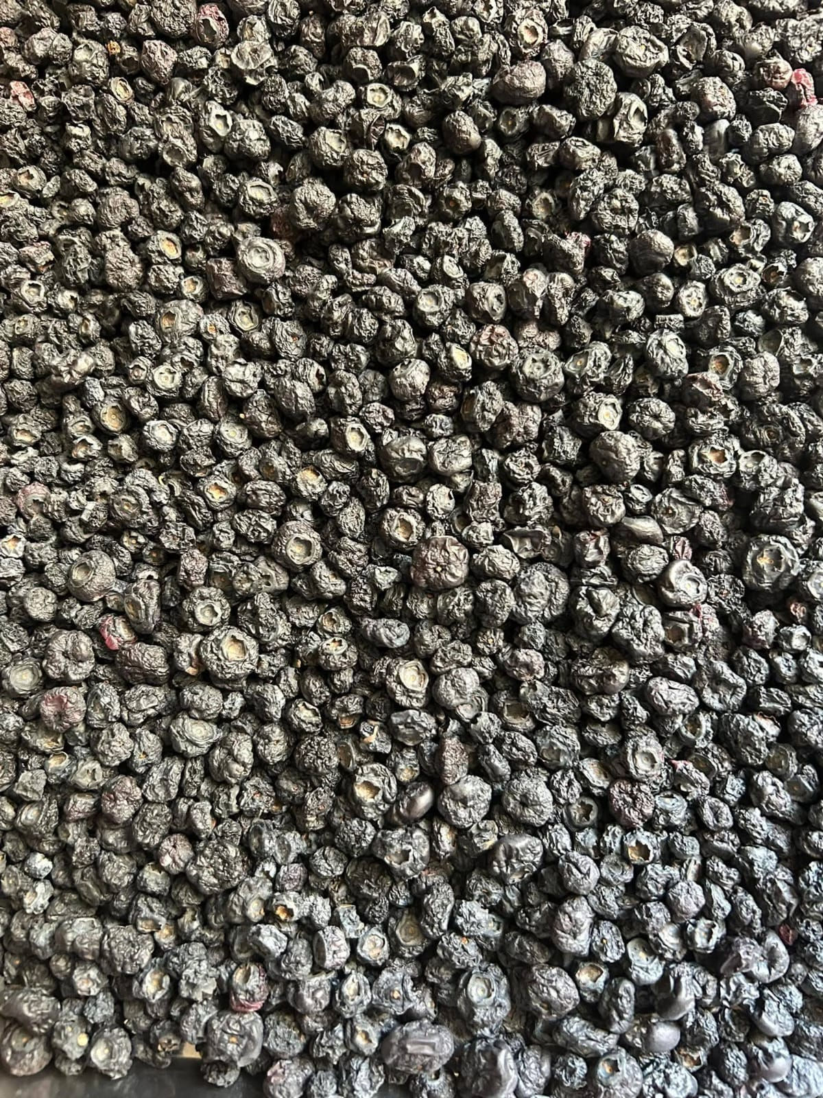 Arándano azul deshidratado