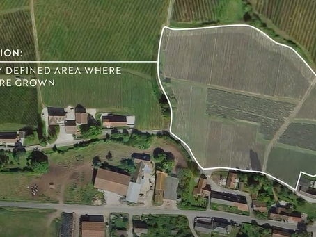 Značenje pojma "Apelacija"