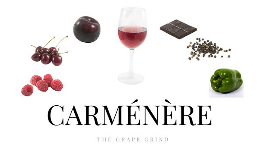 Carmenere - Istorija, Karakteristike i Proizvodnja