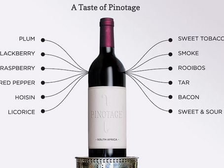Pinotage – Istorija, uzgoj i karakteristike