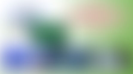 ІІ етап Всеукраїнської олімпіади з біології